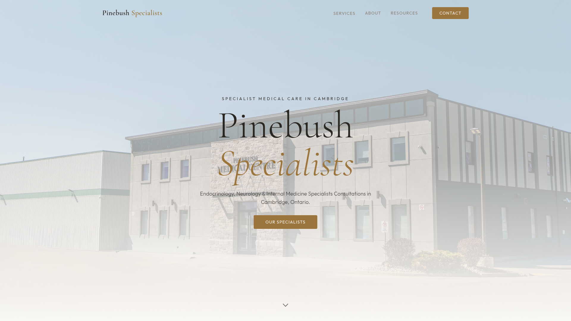 Pinebush Specialists Clinic website preview